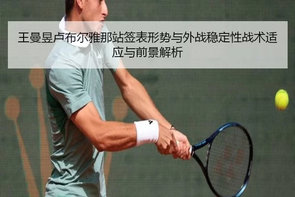 wang-man-yu-lu-bu-er-ya-na-zhan-qian-biao-xing-shi-yu-wai-zhan-wen-ding-xing-zhan-shu-shi-ying-yu-qian-jing-jie-xi-2-660.jpg
